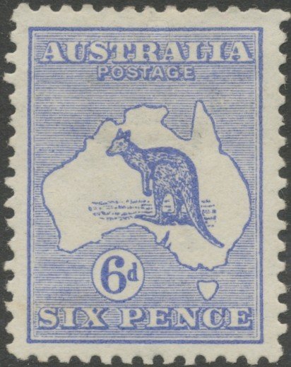 Kangaroo and map