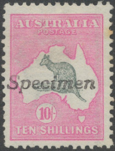 Kangaroo and map