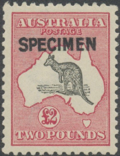 Kangaroo and map