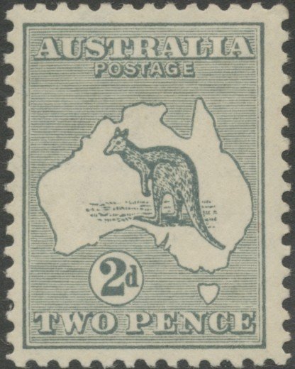 Kangaroo and map