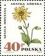 Stamp, Mountain arnica, Poland,  , Flowers, Plants (Flora)