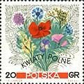 Stamp, Flowers of the Meadows, Poland,  , Flowers