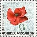 Stamp, Papaver rhoeas, Poland,  , Flowers