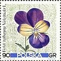 Viola tricolor