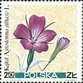 Stamp, Corn cockle, Poland,  , Flowers