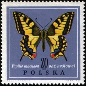 Stamp, Swallowtail (Papilio machaon), Poland,  , Insects, Butterflies, Animals (Fauna)