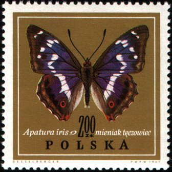 Purple Emperor (Apatura iris)