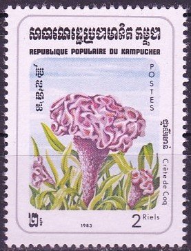 Stamp, Plumed cockscomb, Cambodia,  , Flowers