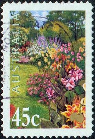 Cannas