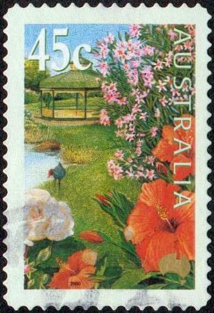 Hibiscus