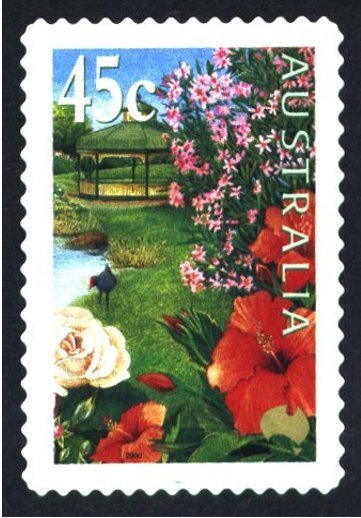 Hibiscus, p. 11½x11