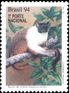 Stamp, Pied Tamarin (Sanguinus bicolor) , Brazil,  , Monkeys, Animals (Fauna)