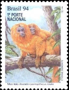 Stamp, Golden Lion Tamarin (Leontopithecus rosalia), Brazil,  , Monkeys, Animals (Fauna)