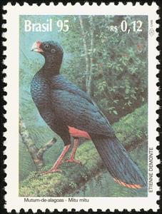 Stamp, Alagoas Curassow (Mitu mitu) , Brazil,  , Birds, Animals (Fauna)