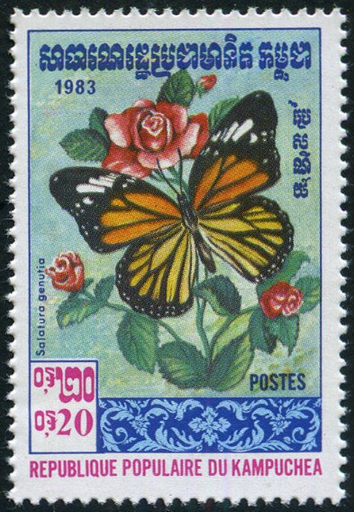 Striped Tiger (Danaus genutia)