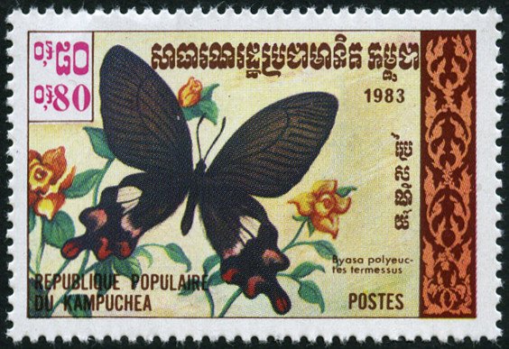 Common Windmill (Byasa polyeuctes termessus)