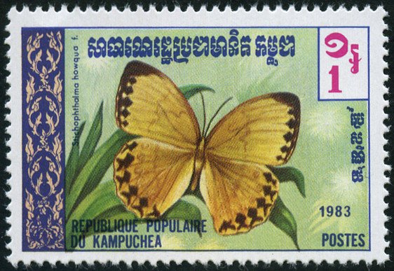 Junglequeen (Stichophthalma howqua)