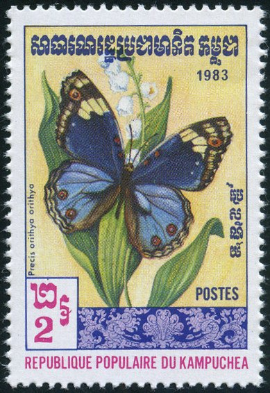 Blue Pansy (Precis orithya)