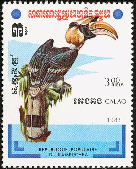 Great Hornbill (Buceros bicornis)