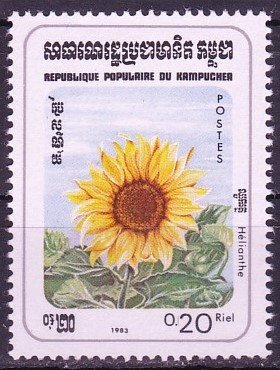 Sun Flower