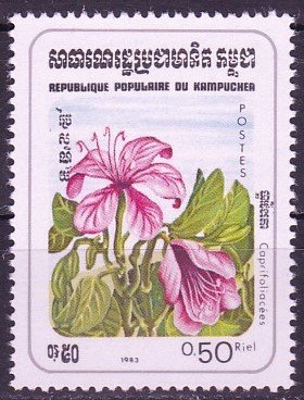 Stamp, Honeysuckle Plant, Cambodia,  , Flowers