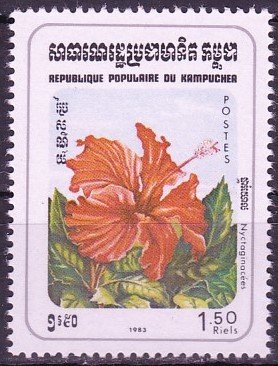 Miracle Flower Plants