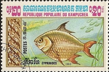 Stamp, Carp (Cyprinus sp.), Cambodia,  , Animals (Fauna), Fishes