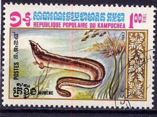 Moray