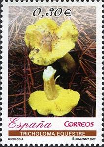 Stamp, 'Man on Horseback' Mushroom, Spain,  , Mushrooms