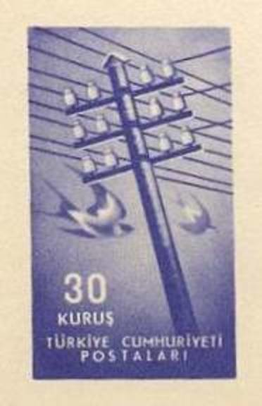 Telegraph Pole