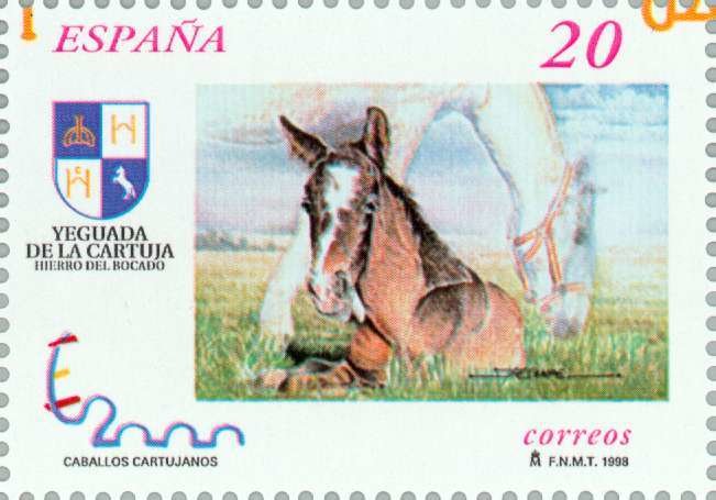 Carthusian Horse (Equus ferus caballus)