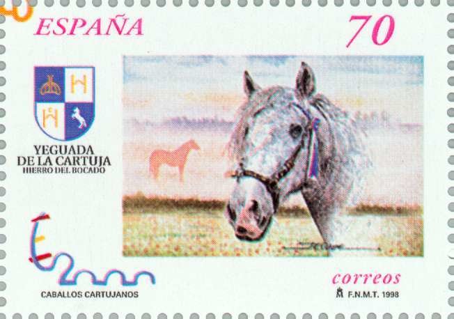 Carthusian Horse (Equus ferus caballus)