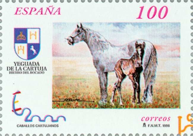 Carthusian Horse (Equus ferus caballus)