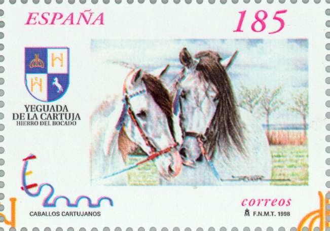 Carthusian Horse (Equus ferus caballus)