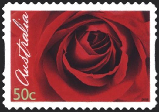 Red Rose