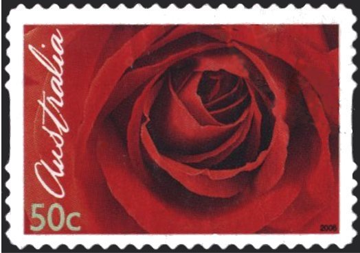 Red Rose, coarse grid