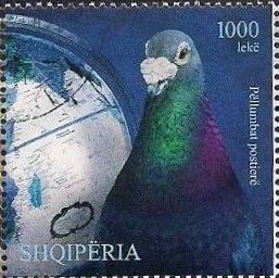 Stamp, Pigeon, Globe, Albania,  , Birds, Pigeons