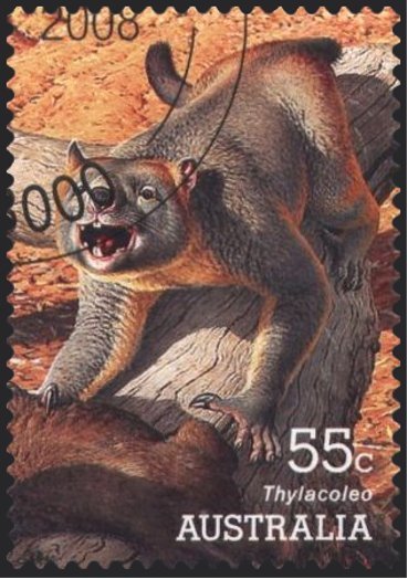 Thylacoleo carnifex