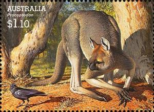 Stamp, Procoptodon goliath, Australia,  