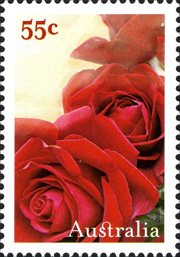 Roses
