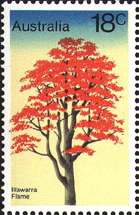 Stamp, Illawarra Flame Tree - Brachychiton acerifolius, Australia,  , Trees, Plants (Flora)