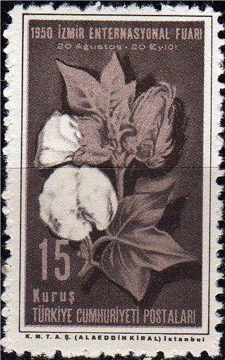 Cotton
