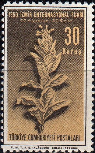 Tobacco