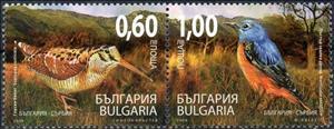 Se-tenant, Eurasian Woodcock (Scolopax rusticola), Common Rock Thrush (, Bulgaria,  , Birds, Animals (Fauna)