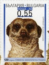 Stamp, Meerkat (Suricata suricata), Bulgaria,  , Mammals, Zoos, Anniversaries and Jubilees