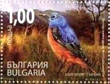 Common Rock Thrush (Monticola saxatilis) - Imperforated