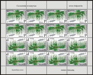 Stamp, Floating fern, Belarus,  