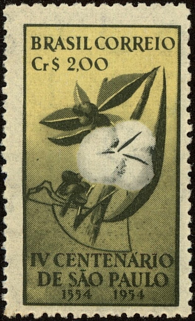 4º Century São Paulo