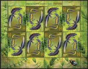 Stamp, Crested newt, Belarus,  