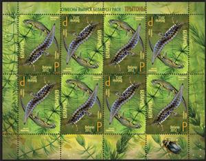 Stamp, Common newt, Belarus,  